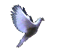 I believe every child can fly!